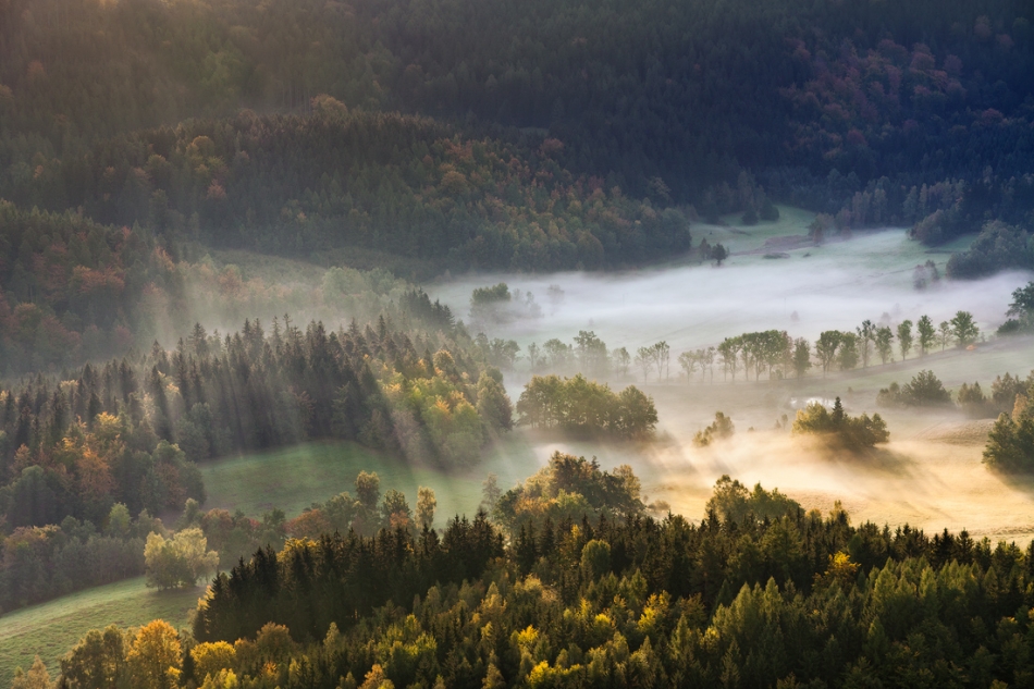 Travelling Without Moving . . Zdjęcie 84087