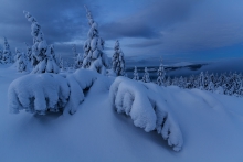 Frozen Land II