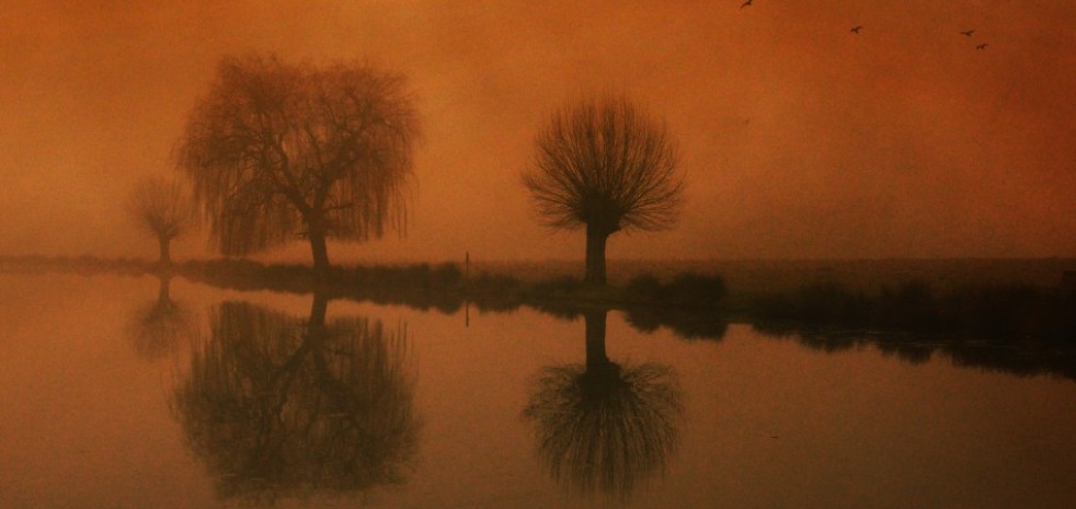 robin74r - Some Mornings